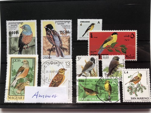 Piccolo lotto collezione - piccolo,