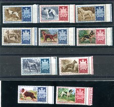 Cani di razza serie completa b. di f. in ottima qualità