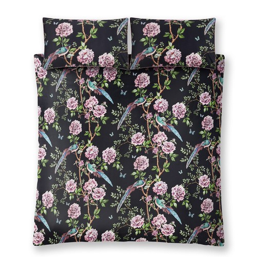 Clearance paloma fede - clearance,