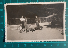 FOTO DONNE CONTADINE RECINTO DI OVINI 1930 - 40 C. ( F 38 )