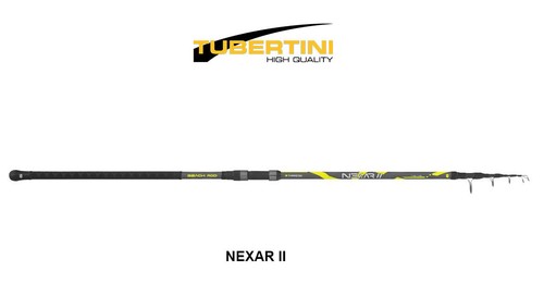 Canna tubertini nexar 05 - canna, 4.05
