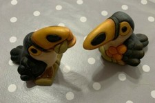  Coppia Tucano Thun Uccello