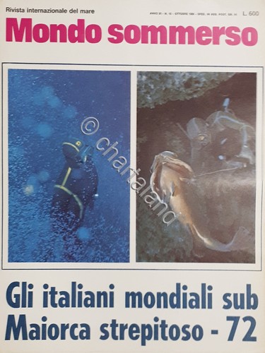 Rivista internazionale del - rivista,