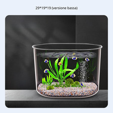 Acquario da scrivania in
