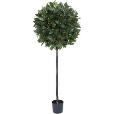 Albero di Baia Artificiale 5ft