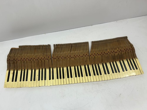 Set tasti pianoforte - 88,