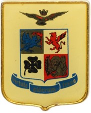 Distintivo Aeronautica