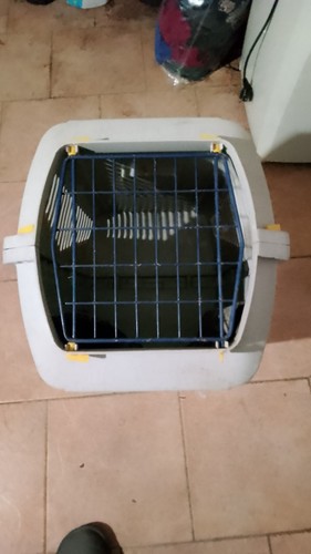 Trasportino cane taglia - trasportino,