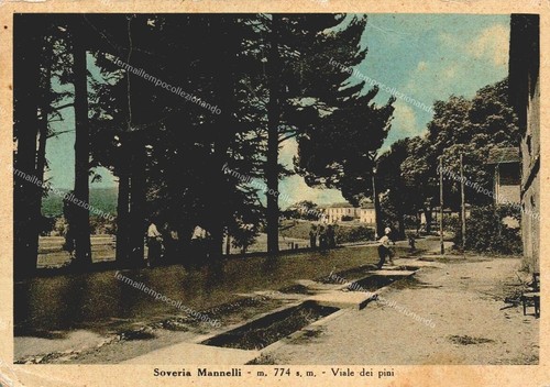 Eb101 cartolina soveria - eb101,
