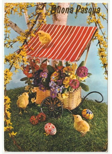 1973 foto cartolina vintage