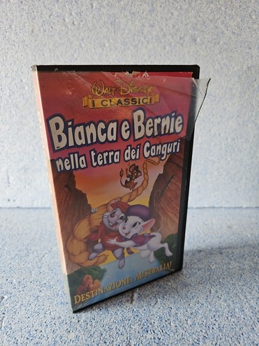 Bianca bernie nella terra - bianca, e