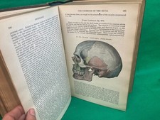 Anatomy Descriptive and