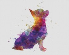 Cane cucciolo Chihuahua