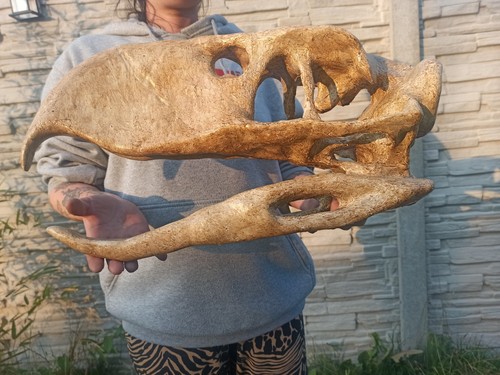Terror bird phorusrhacids - bird,