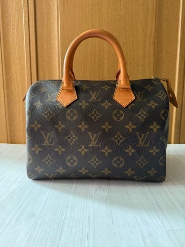 Eccellente louis vuitton - louis,
