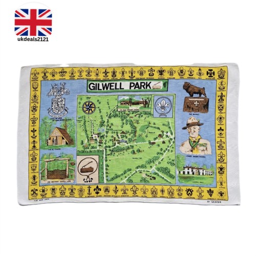 Vintage boy scout tea - boy, towel