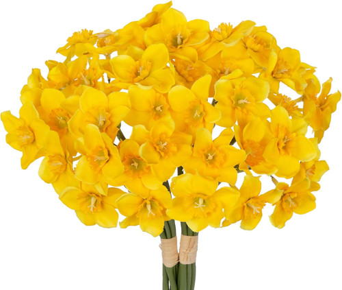 Steli narcisi fiori - 12,