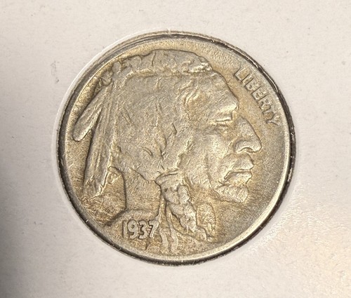 1937 bufalo 3 zampe - 1937-d,