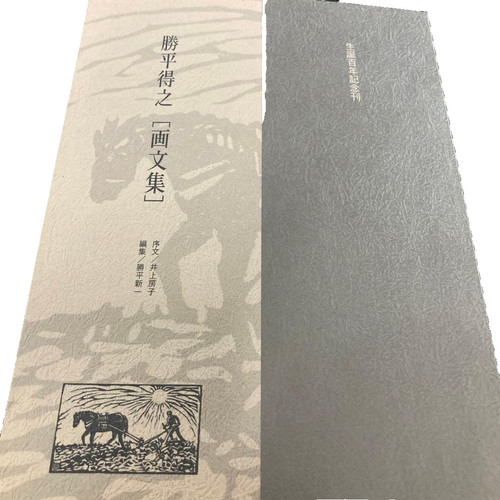 Tokushi katsuhira libro - tokushi, d'arte