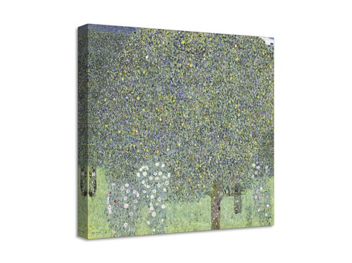 Quadro stampa tela con - tela,