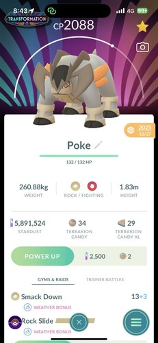 Pokemon terrakion non lucido - pokemon,