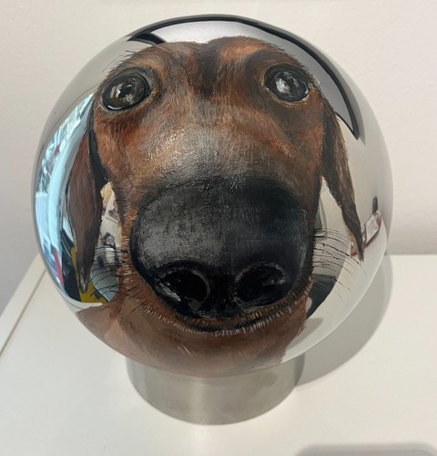 Muso cane bassotto - di,