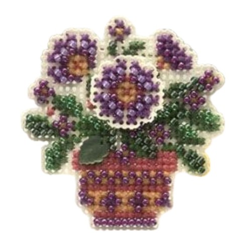 Primula vaso fiori primavera