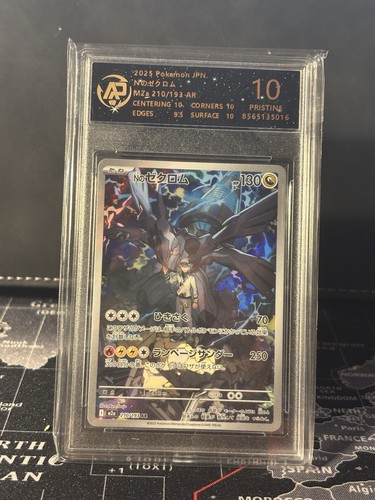Zekrom 210 193 ar pv130 - n's,