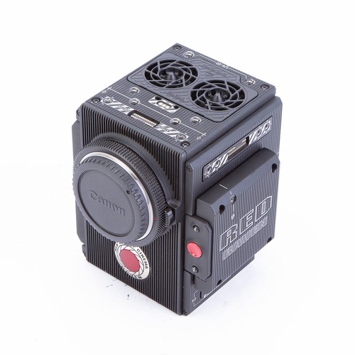 Fotocamera red raven brain - red,