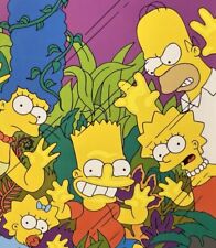 SERIE COMPLETA I SIMPSON 1/101  + speciali + Treehouse Ecc. Con Molti Doppioni