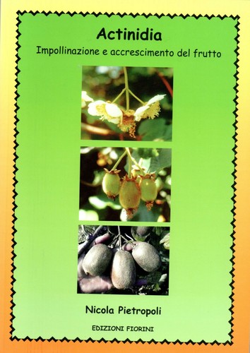 Actinidia impollinazione - actinidia,