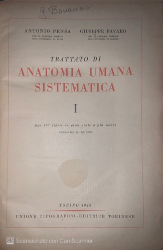 Trattato anatomia umana - di,