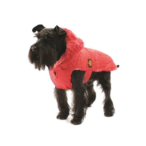 Fashion dog cappotto - fashion,