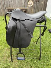 County Icelandic Dressage 18