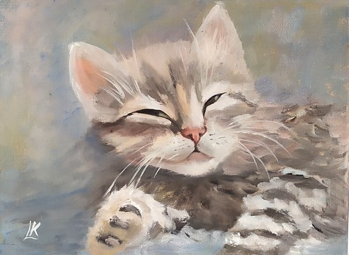 Dipinto olio tela gattino - su,