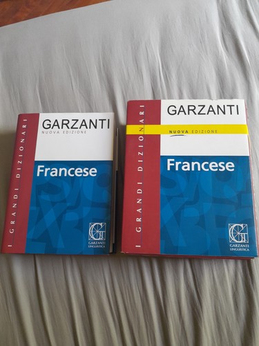 Dizionario francese italiano - dizionario,