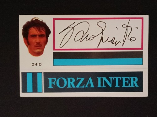 Figurina calciatori panini - figurina,