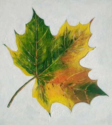 Albero autunnale foglia