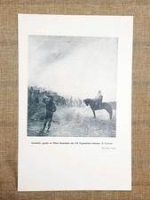 Garibaldi Quadro di Plinio