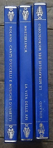 Canti uccelli musiche - canti,