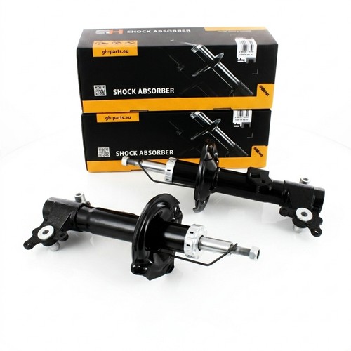 Coppia ammortizzatori gas - ammortizzatori, a