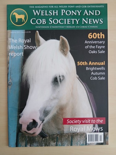 Welsh pony and - pony,