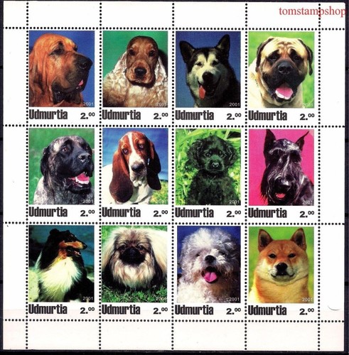 Cani collie bulldog beagle - bulldog,