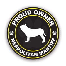 Proud Owner Neapolitan Mastiff