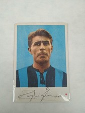 FIGURINA CARTONATA EDI -