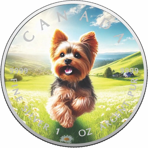 2026 canada oncia 9999 - canada, 1