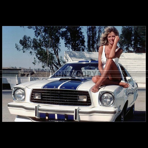 Photo 016316 ford mustang - a.016316,
