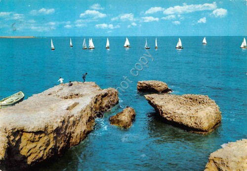Cartolina porto torres - porto, barche