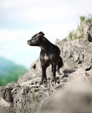 POSTER ADESIVO QUADRO