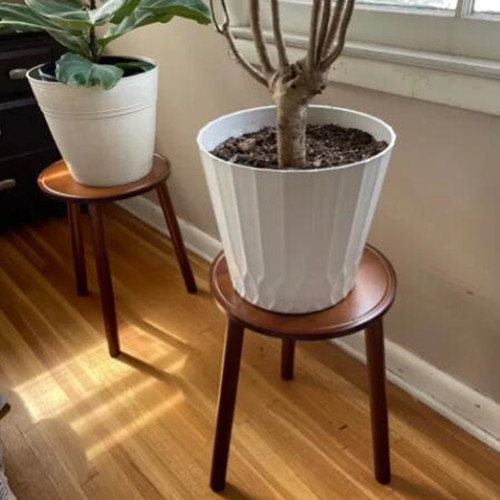 Piante vaso legno - piante,